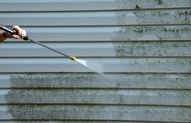 Best Gutter Cleaning  in Steelville, MO